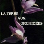 Haute-Marne la Terre aux orchidées