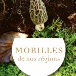 MORILLES_COUV